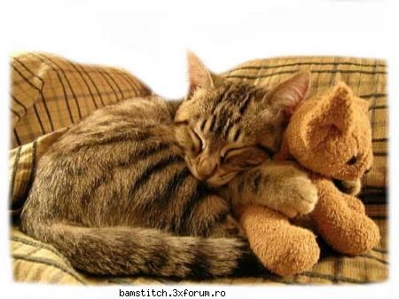 fanteziile voastre.. dati frau liber imaginatie voastre