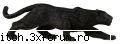 raspunde la o intrebare cu o ce fac si eu te intreb ce dreaq fac ?!? :nod: raspunde la o intrebare
